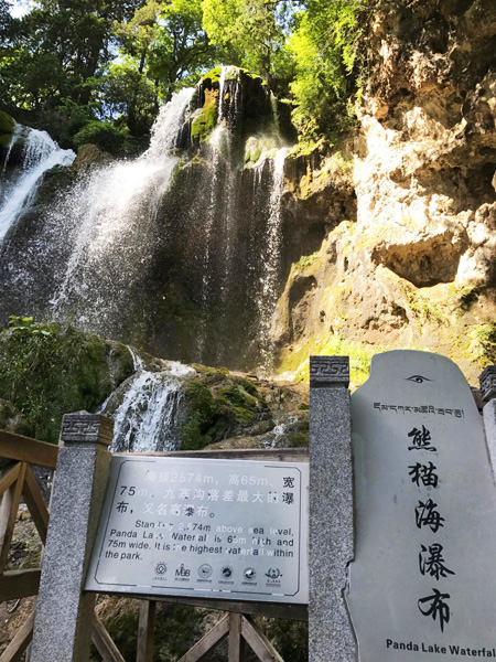 图片描述