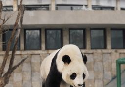 图片描述