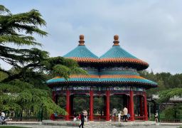 图片描述
