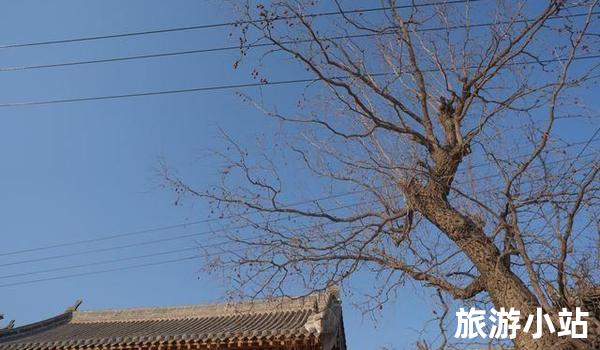 图片描述