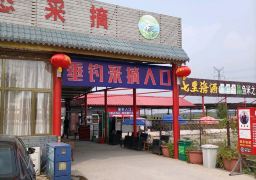 图片描述
