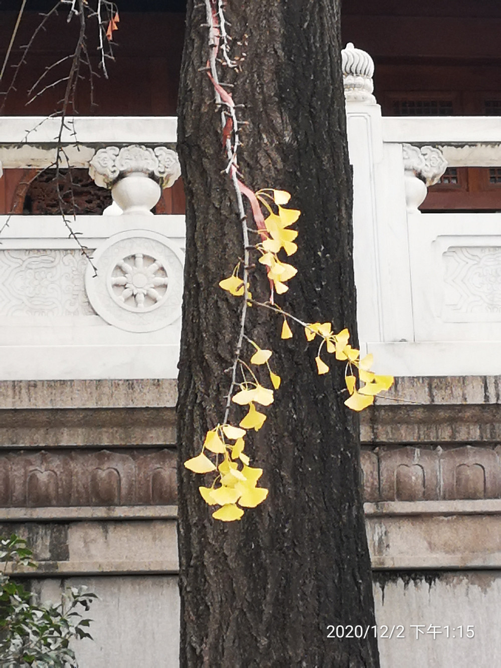 图片描述