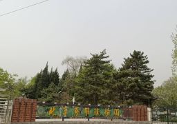 图片描述