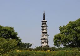 图片描述