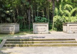图片描述