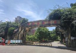 图片描述
