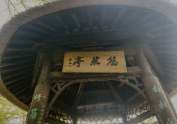 图片描述