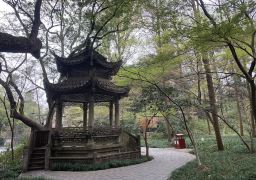 图片描述
