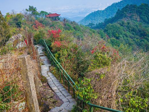 Xishan National Forest Park - Explore Hangzhou's Western Mountains