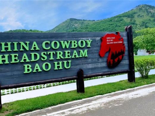 Qingdao Baohu Benmayuan