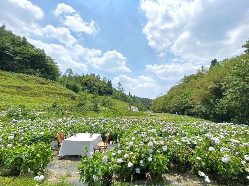 Luye Flower Tower: A Hidden Valley Near Chengdu